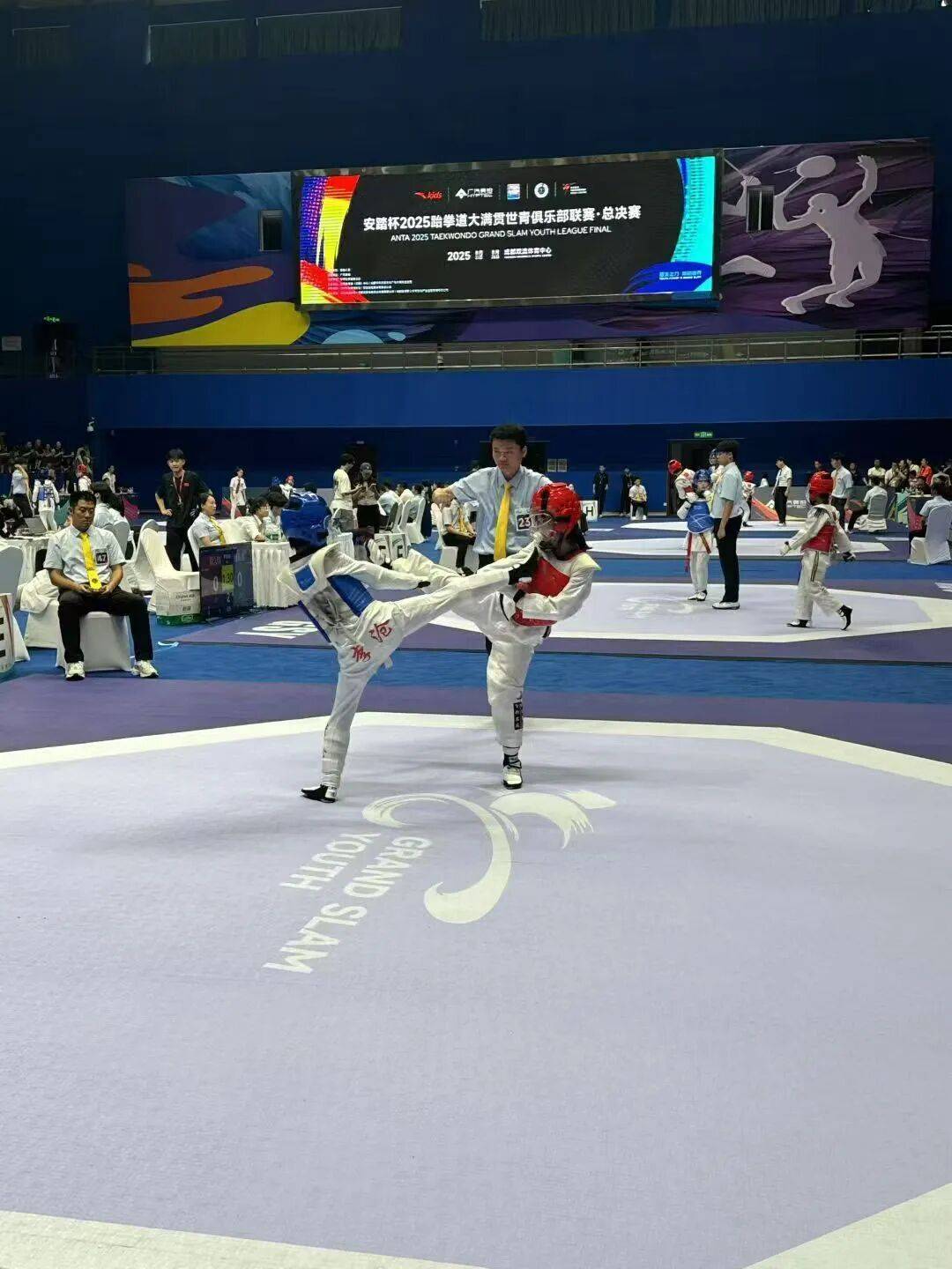 od体育vip注册-跆拳道选手招式凌厉，斩获胜利