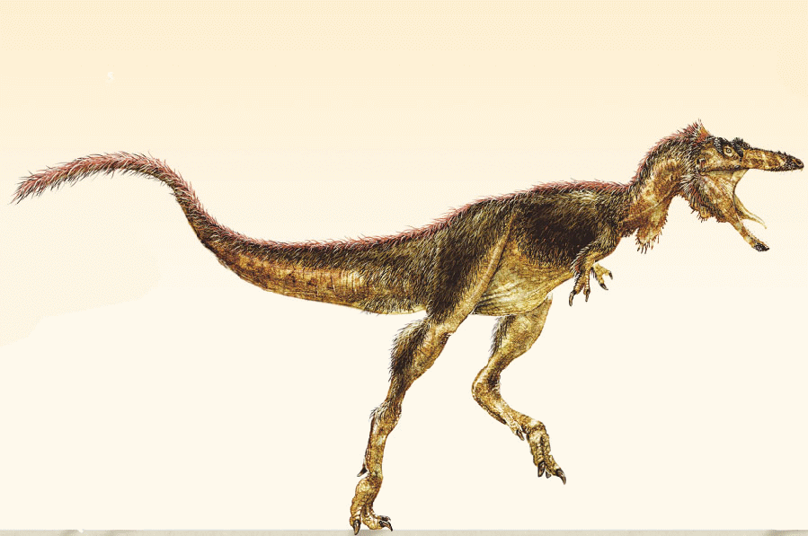 详细阅读:od体育网站-暴龙主帅:我们超级擅长防守的简单介绍 od体育网站-暴龙主帅:我们超级擅长防守的简单介绍