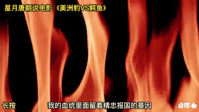 od体育app下载-谁将成为比赛的英雄？揭秘答案即将揭晓的简单介绍